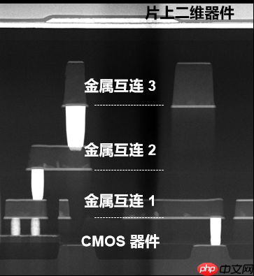 碾压传统闪存!我国研发全球首个二维-硅基混合架构闪存芯片