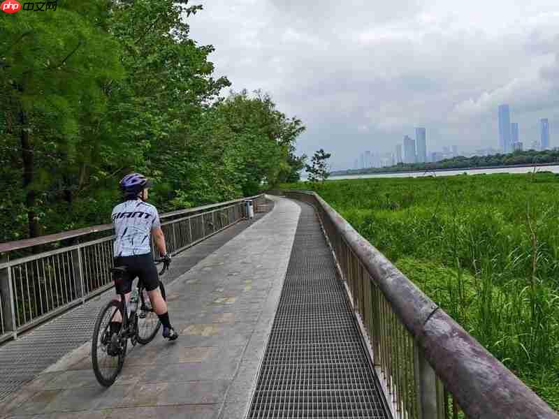 平价也能出大片!彩族C19微单测评:新手入门真香之选!