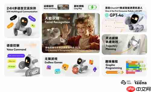 Loona宠物机器人“萌翻”2025中网球场