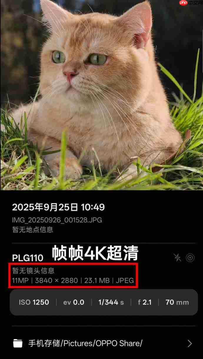 OPPO Find X9系列首发4K超清实况照片，引领影像新纪元