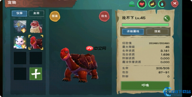 龟饲料全攻略：新手秒变驯龟大师，从入门到精通