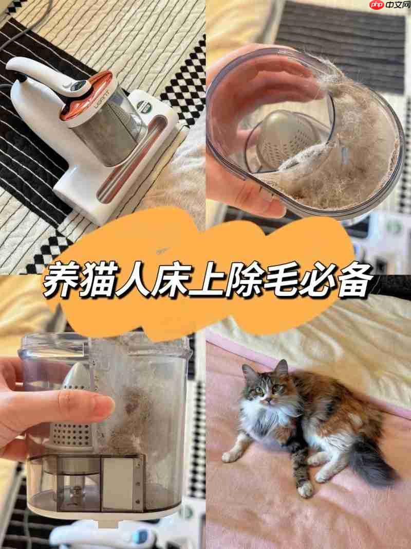 养宠家庭必看:除螨仪到底要不要买?多久用一次?友望大白Ultra给答案