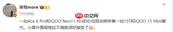 曝iQOO明年将发布iQOO 15 mini机型 对手一加和小米?