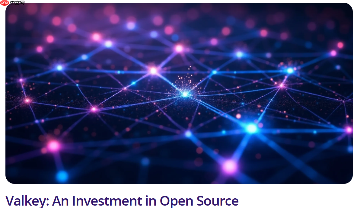 Valkey：对开源的投资