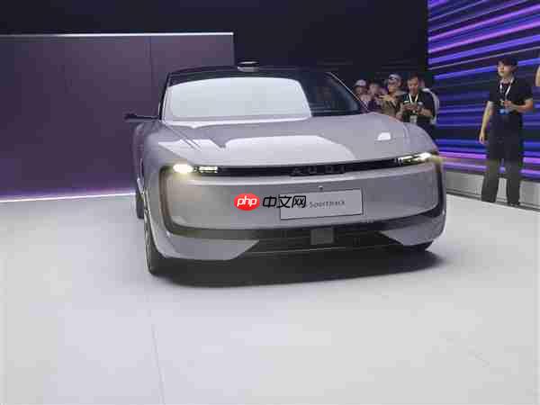 上汽大众陶海龙:AUDI首款车只能成功 不能失败