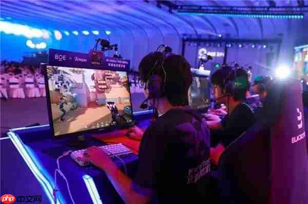 AGON闪耀BOE IPC电竞嘉年华  共燃无畏杯S3终极对决