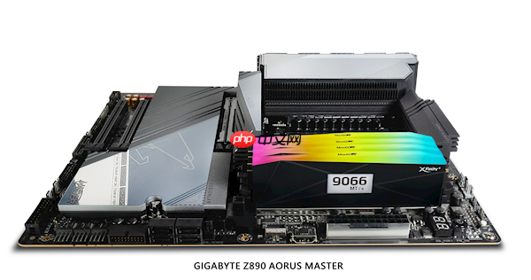 全何发布全球首款自带OLED屏幕的内存！开机就显示6大参数