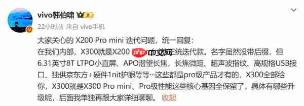 小屏旗舰用户慌了?vivo将不再推出vivo X300 Pro mini
