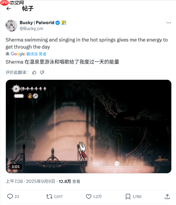 太可爱了!《空洞骑士:丝之歌》玩家一致喜爱NPC“谢尔玛”!