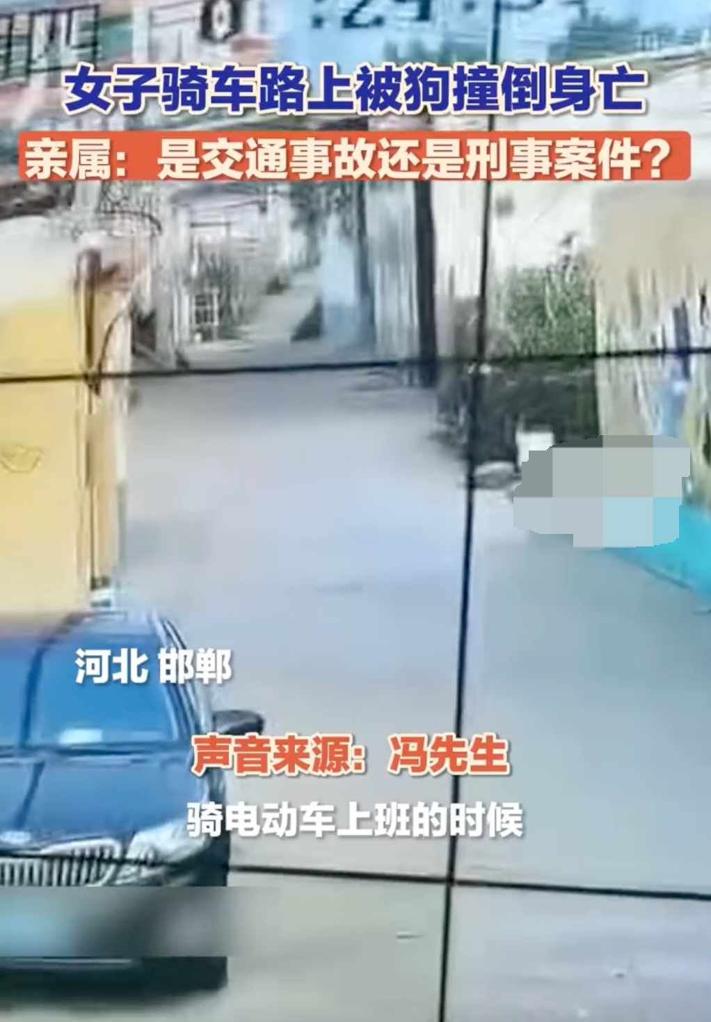 河北一女子骑车路上被狗撞倒身亡是怎么回事？详情介绍 - php中文网