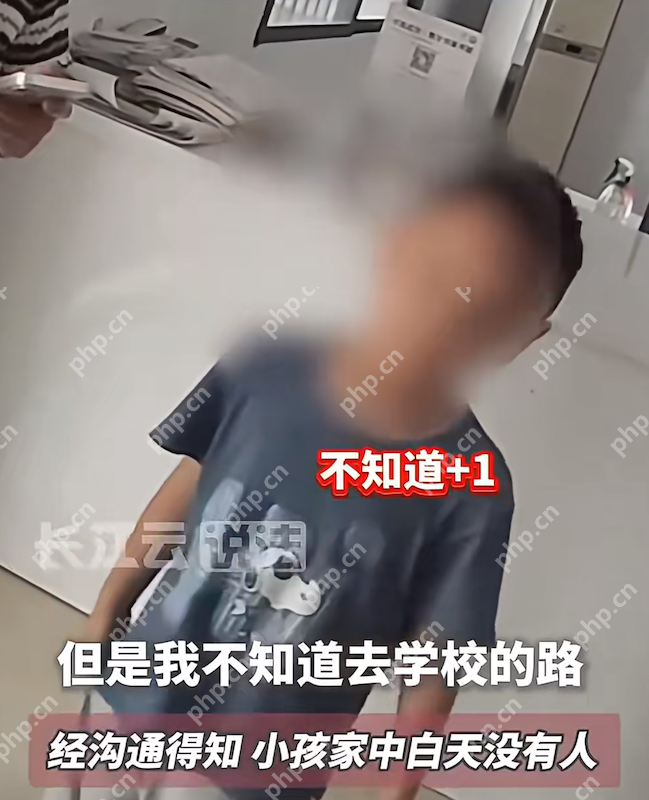 一年级新生开学次日街头“流浪”,乌龙真相让人哭笑不得 - php中文网
