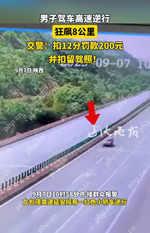 男子高速“逆行狂飙”8公里:教科书式危险驾驶,处罚结果引热议 - php中文网