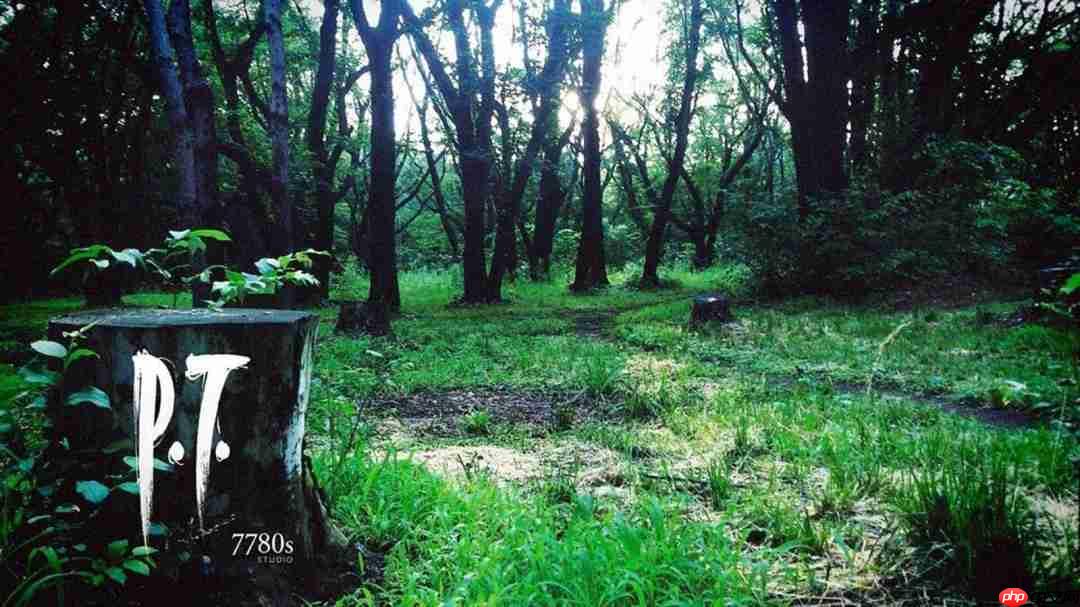 影响巨大!神谷英树希望小岛秀夫制作像《p.t.》的游戏