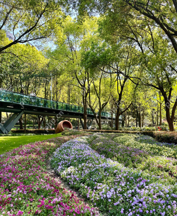 上海提前完成“千园之城”建设目标,公园总数达1013座 - php中文网