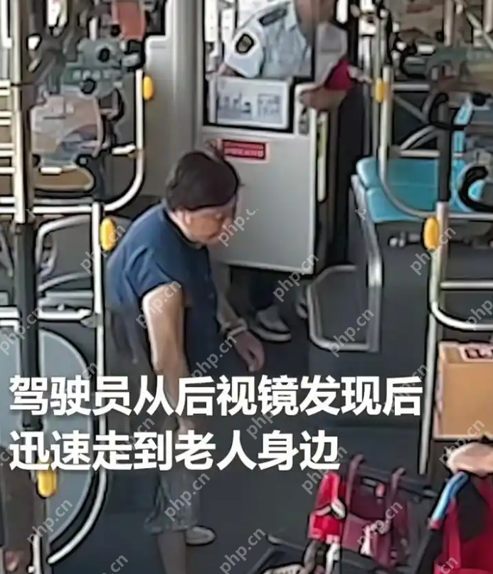 成都公交司机暖心一背,背起的是责任与温情 - php中文网