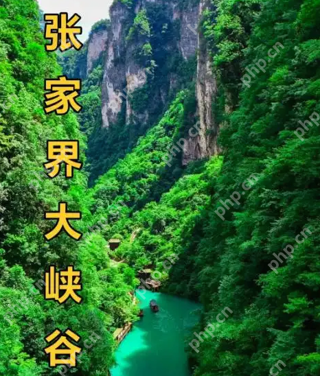 2100元接待费:张家界“史上最抠”公务接待引热议 - php中文网