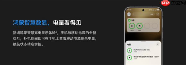 李小龙回应用华为充电宝充大疆Pocket 3会充爆:没任何问题