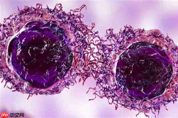 网红Coser“若童”因肠癌去世：年仅32岁