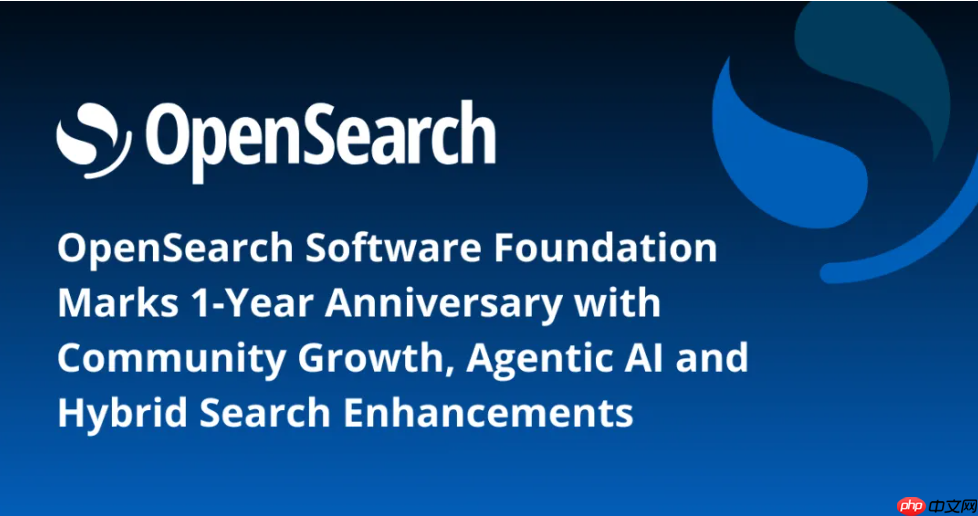 OpenSearch Software Foundation 一周年庆
