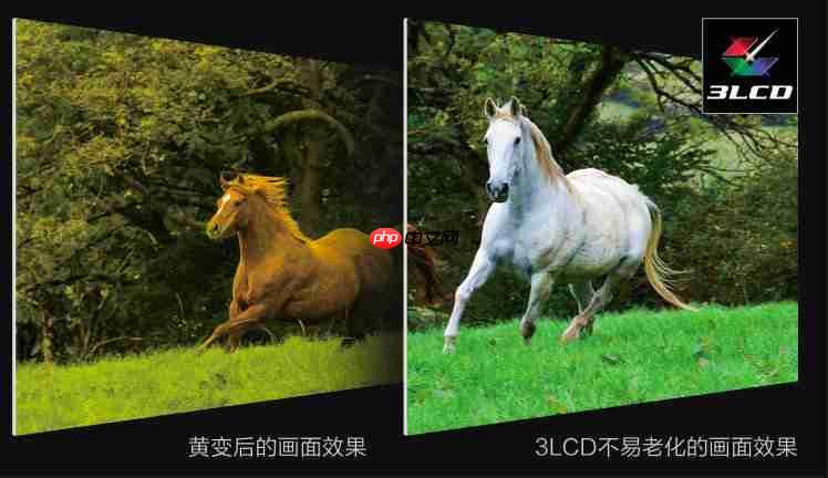 4K影院新突破!爱普生专业家庭影院CH-LS9000带来专业审片级体验