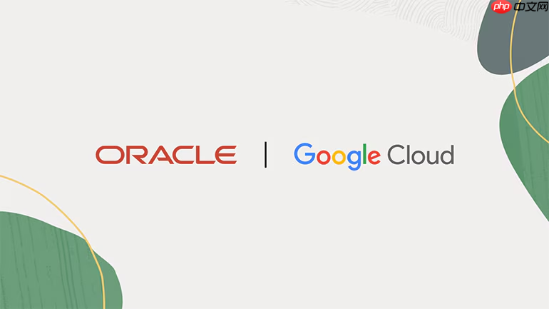 Oracle将为客户提供GoogleGemini 模型,助力企业加速AgenticAI 之旅