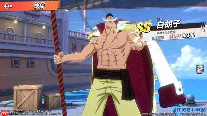 航海王PVP角色强度榜：版本天花板与平民战神全解析