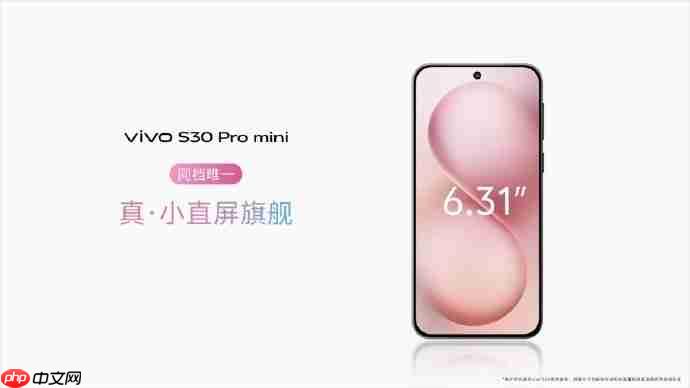 多彩小直屏vivo S30系列正式开售,国补到手2294元起!