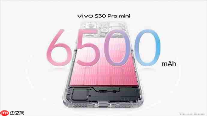 多彩小直屏vivo S30系列正式开售,国补到手2294元起!