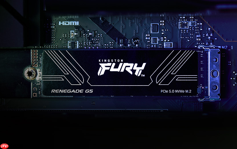 速度为王KingstonFURY PCIe 5.0 NVMe固态硬盘
