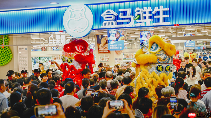 盒马将再开100家新店 年内门店数将超500