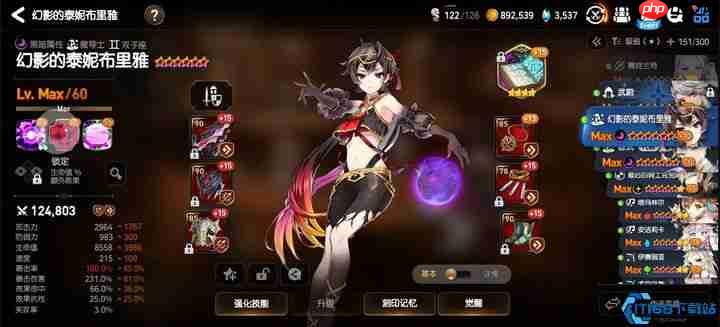 暗法泰妮布里雅终极指南:第七史诗PVP与PVE的双料天花板