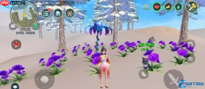 紫色曼陀罗花高效采集指南:发光花朵藏宝图大公开