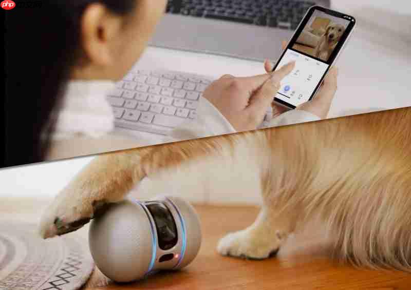 承载城市科技形象萤石移动看护摄像机TAMO入选2025“杭州特色伴手礼”