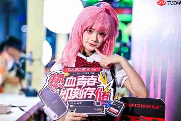 ChinaJoy 2025热力全开 闪迪携合作伙伴共绘互动娱乐新图景