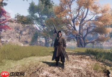 下一站江湖2盗圣珍宝奇遇指南:破解江湖谜题,追寻失落的秘藏