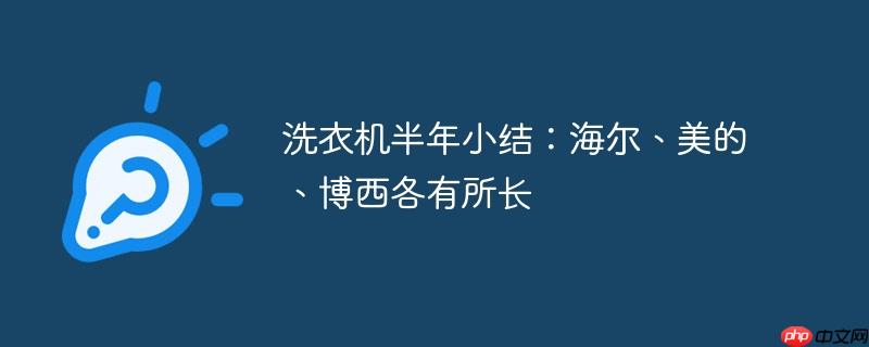 洗衣机半年小结：海尔、美的、博西各有所长