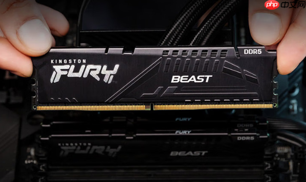 生产力效能跃升 金士顿DDR55600内存