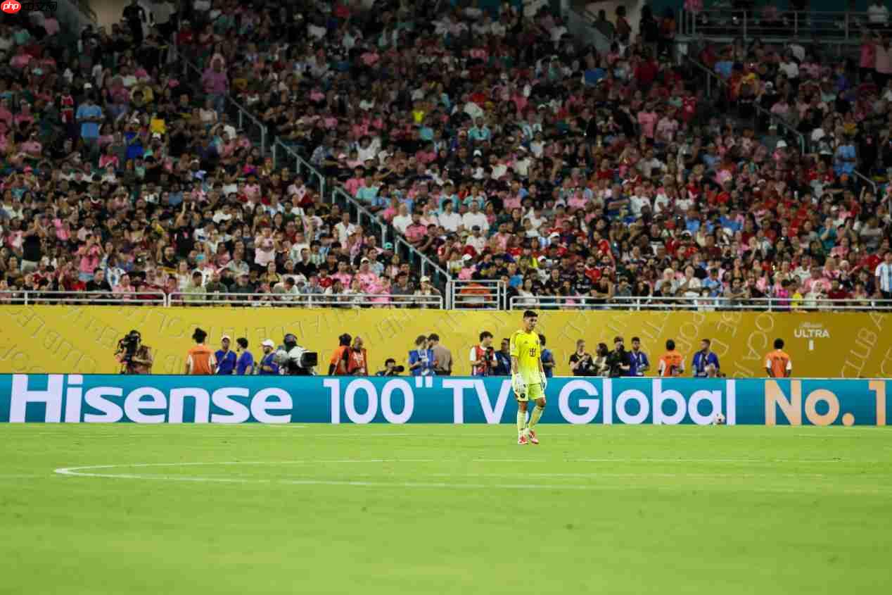 《中国足球环境及未来发展白皮书（2025）》发布：100吋大屏电视成标配