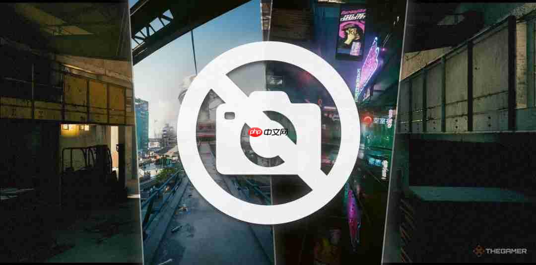 外媒:都2025年了 没有照片模式的游戏算不上好游戏