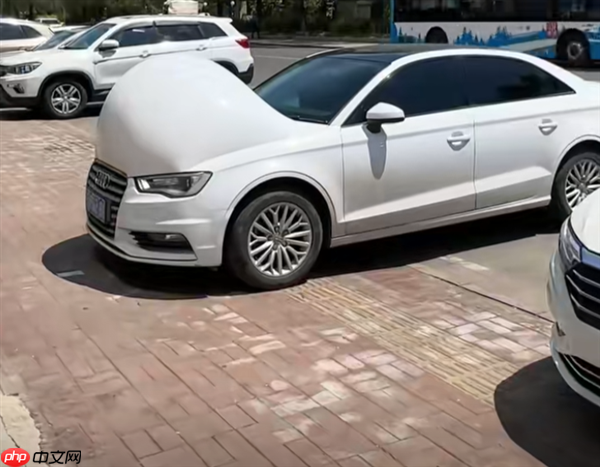 天气炎热 多地汽车车身“冒泡” 上路成显眼包