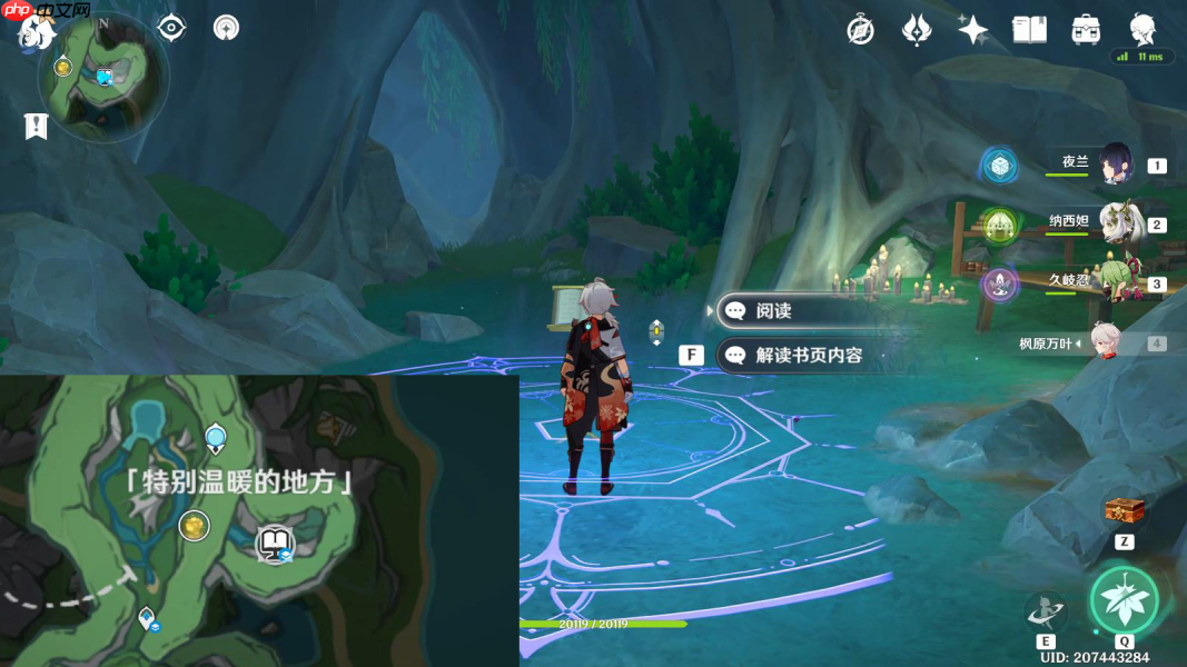 原神秘诲揭示之书终极指南：神秘书页收集路线详解