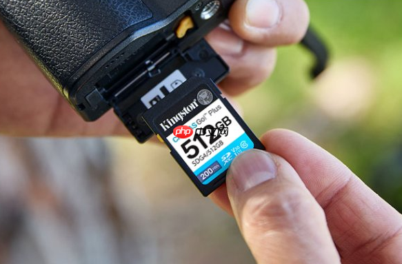 一卡走天下 金士顿Canvas Go!Plus系列存储卡