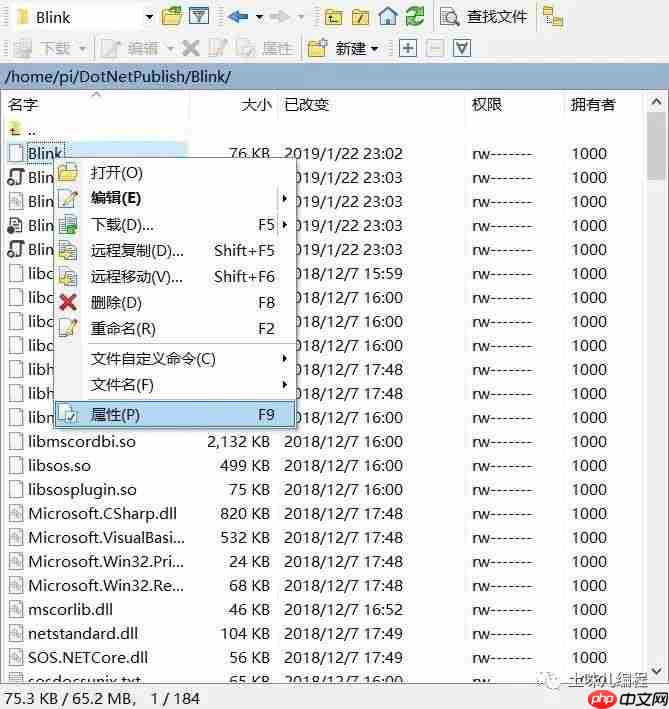 张高兴的 .NET IoT 入门指南:(一)环境配置、Blink、部署