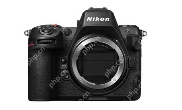 微单相机哪款最好?入门微单相机前十名2025推荐 - php中文网