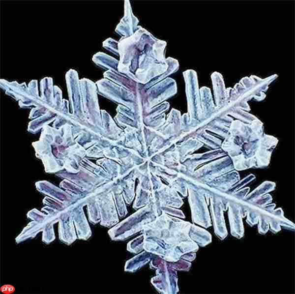 冰封利刃降临!光与影33号远征队吕涅雪结终极获取指南