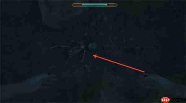 上古卷轴4重制版深蔑空洞全解锁指南 鳍光头盔获取与水下秘境探索攻略