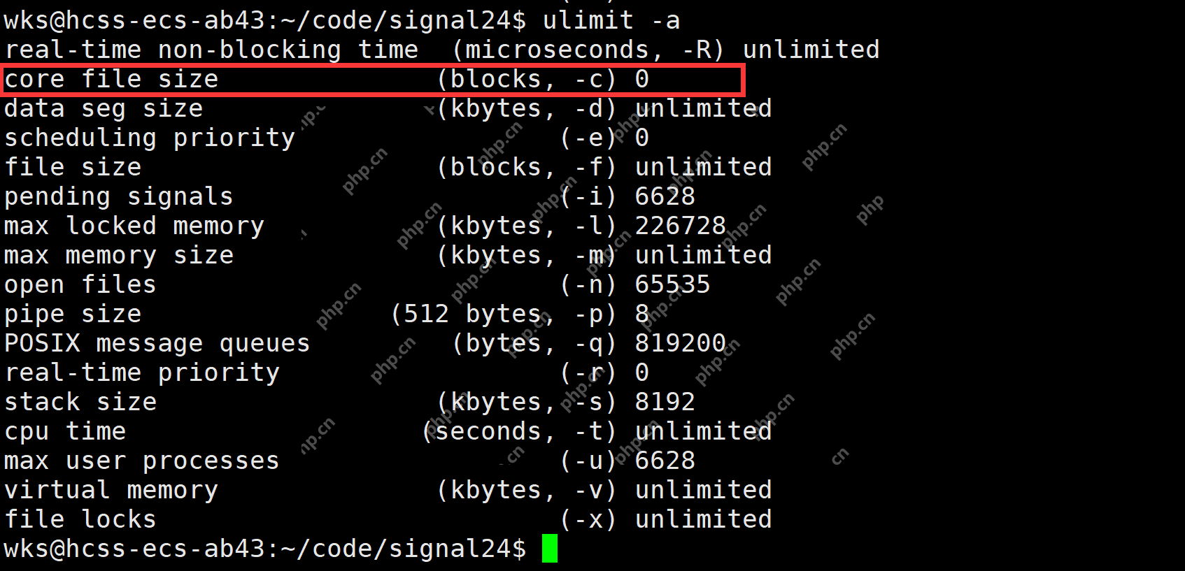 【linux学习指南】Linux进程信号产生(三) 硬件异常&&除零出错?&&野指针异常?&&core文件