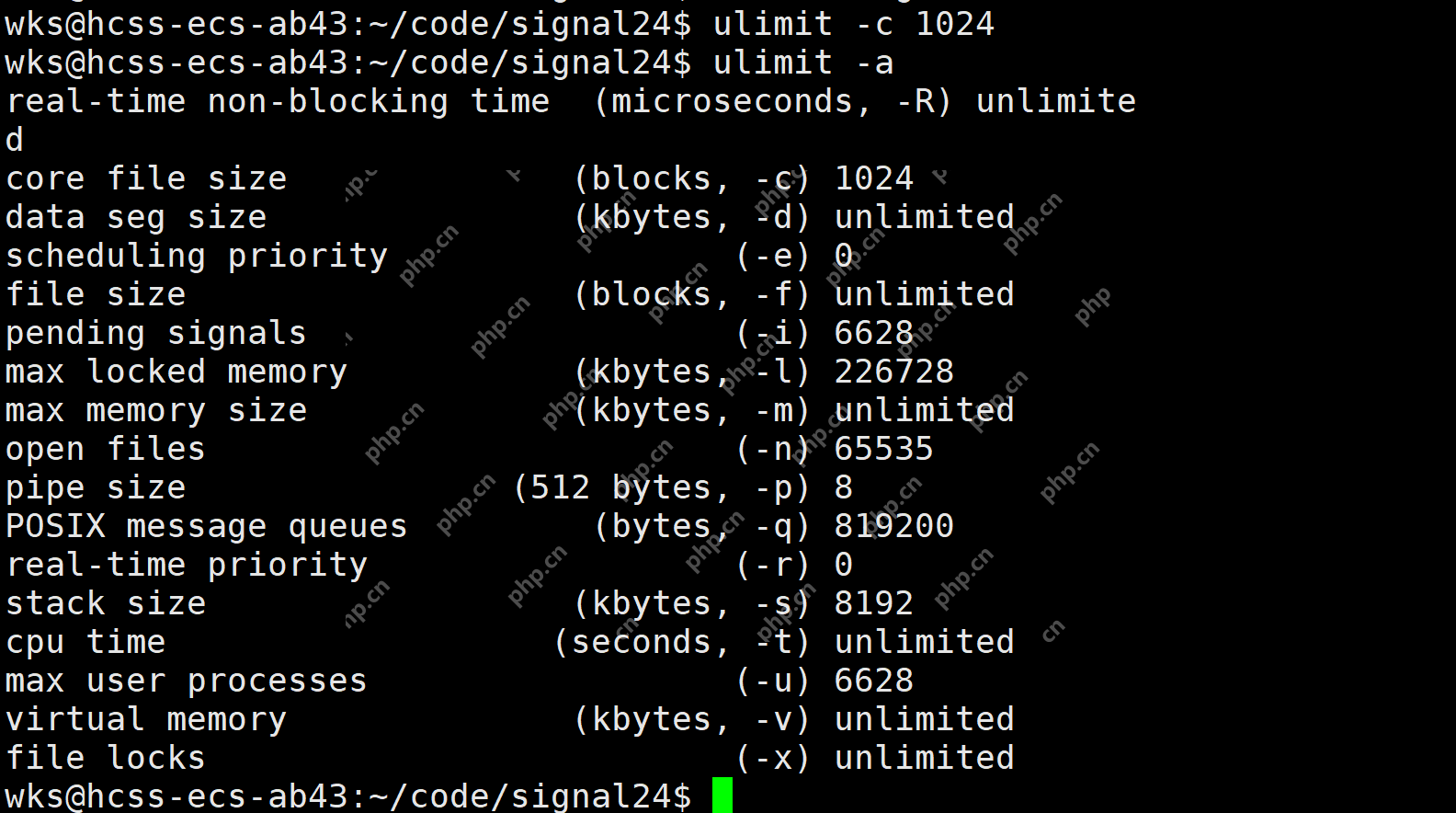 【linux学习指南】Linux进程信号产生(三) 硬件异常&&除零出错?&&野指针异常?&&core文件