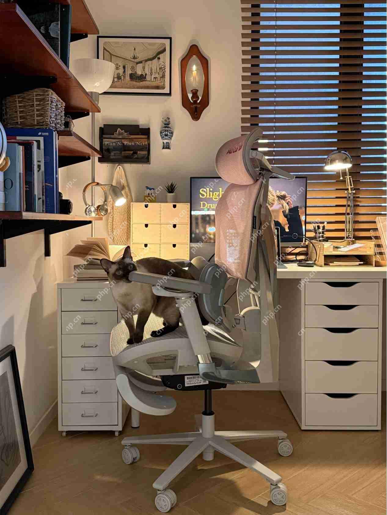 一把能打游戏、能上班,还能哄对象的傲风电竞椅有多香?