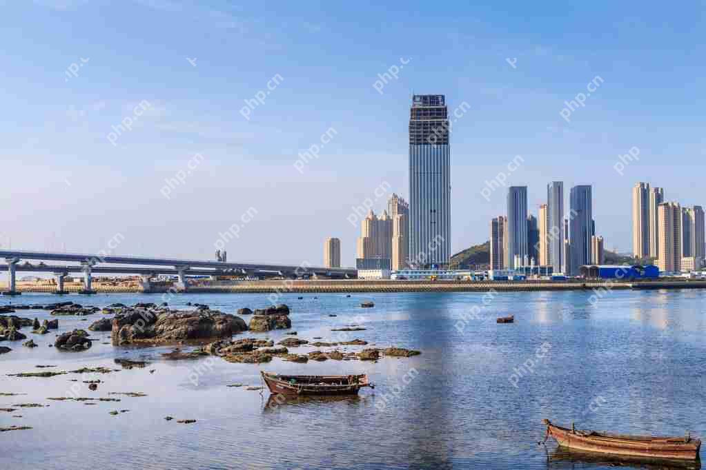 大连软件外包:大连软件外包多少钱